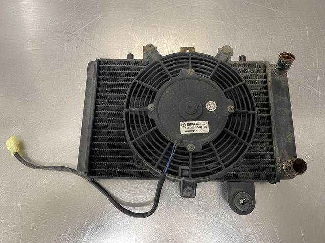 Hovedbilde Triumph Legend 900 2000 Radiator 