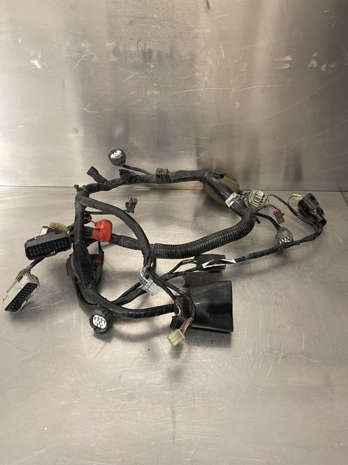 Hovedbilde Honda CBR 600 F4 2004 Ledningsnett