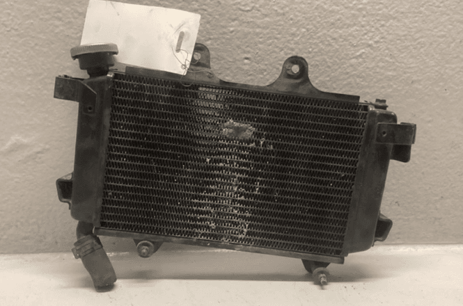 Hovedbilde KTM DUKE 125 2019 Radiator 