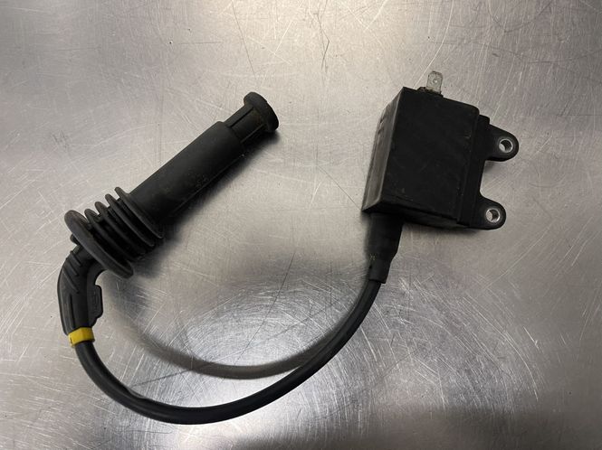 Hovedbilde Triumph Legend 900 2000 Coil