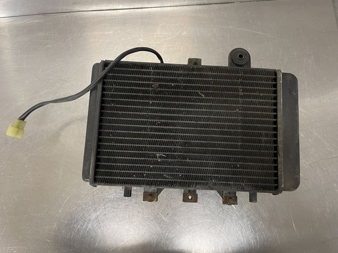 Hovedbilde Triumph Legend 900 2000 Radiator 