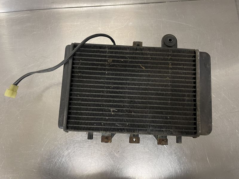Triumph Legend 900 2000 Radiator 