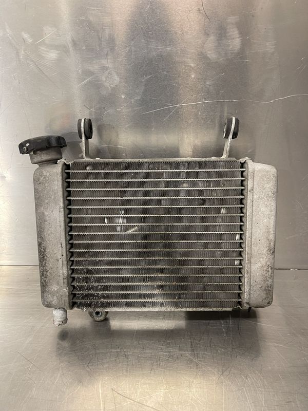 Honda CBR 125 2013 Radiator 