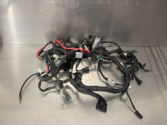 Hovedbilde Yamaha FZ8-S 2014 Ledningsnett
